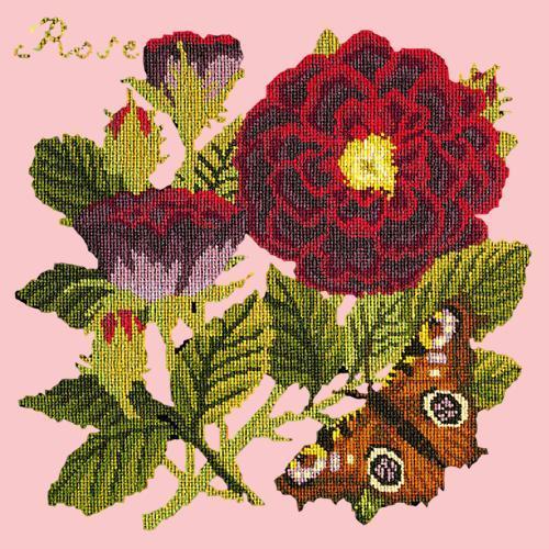 Rose Needlepoint Kit Elizabeth Bradley Design Pale Rose 