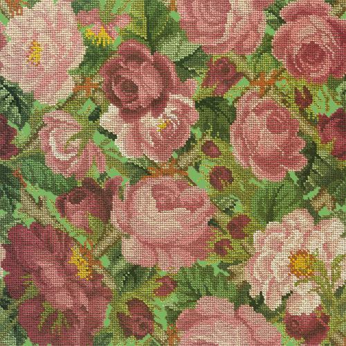 Rose Trellis Needlepoint Kit Elizabeth Bradley Design Grass Green 