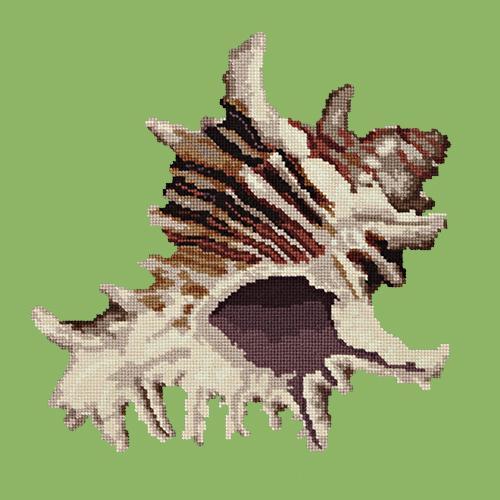 Spiky Conch Needlepoint Kit Elizabeth Bradley Design Grass Green 