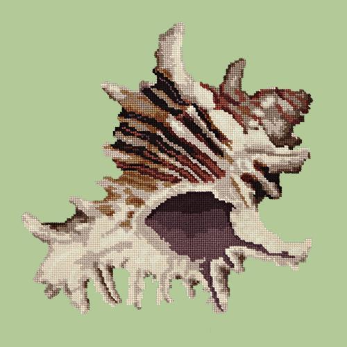Spiky Conch Needlepoint Kit Elizabeth Bradley Design Pale Green 