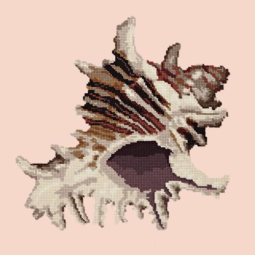 Spiky Conch Needlepoint Kit Elizabeth Bradley Design Salmon Pink 