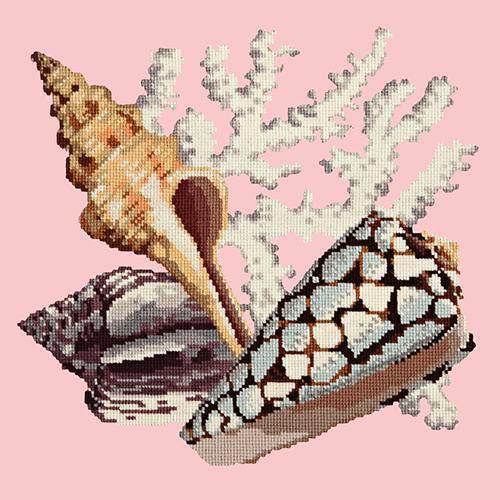 Staghorn Needlepoint Kit Elizabeth Bradley Design Pale Rose 