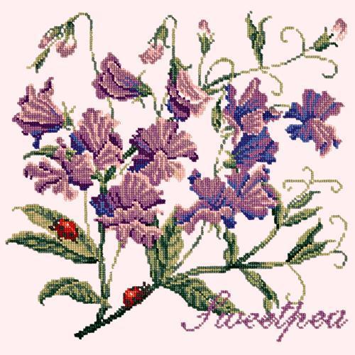 Sweetpea Needlepoint Kit Elizabeth Bradley Design Cream 