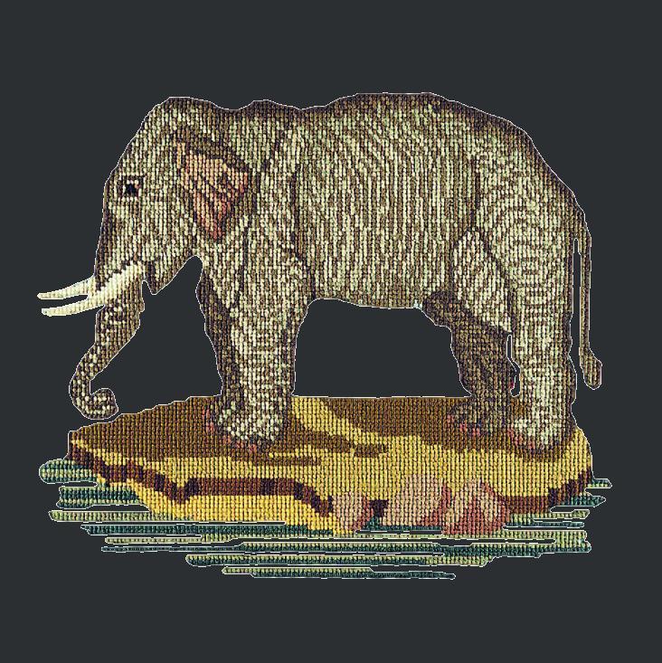 The Elephant Needlepoint Kit Elizabeth Bradley Design Black 