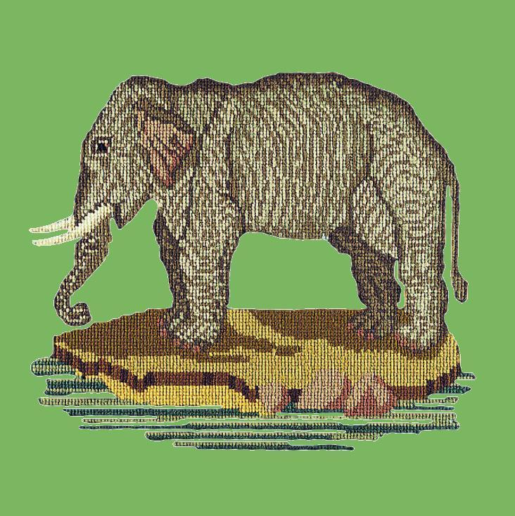 The Elephant Needlepoint Kit Elizabeth Bradley Design Grass Green 