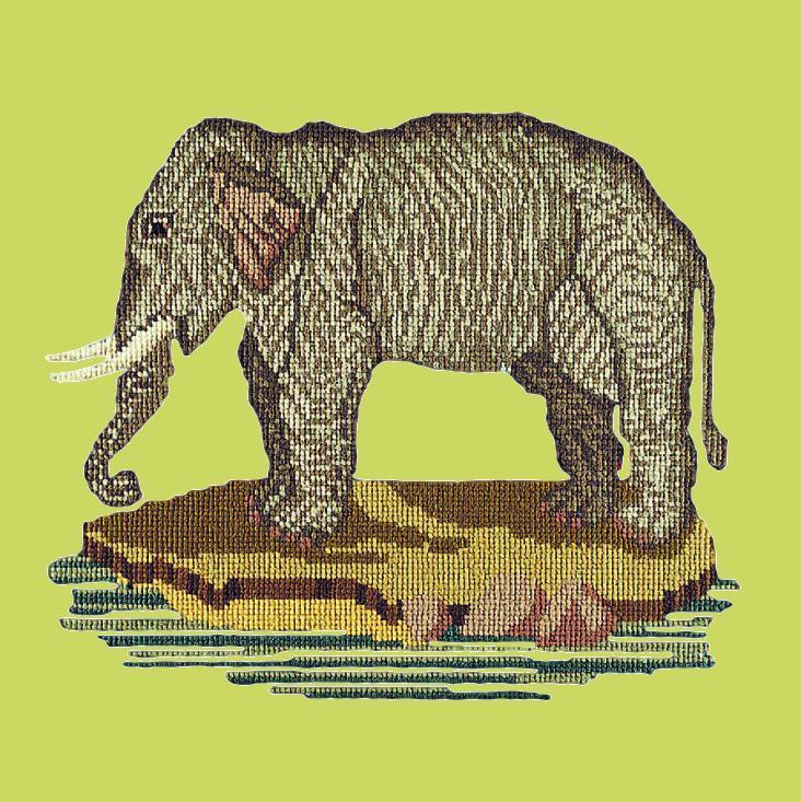 The Elephant Needlepoint Kit Elizabeth Bradley Design Pale Lime 