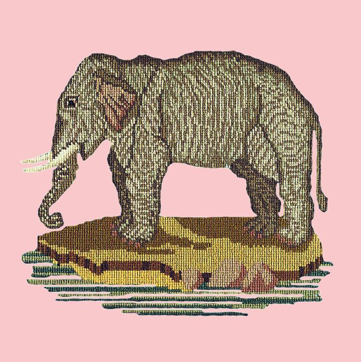 The Elephant Needlepoint Kit Elizabeth Bradley Design Pale Rose 