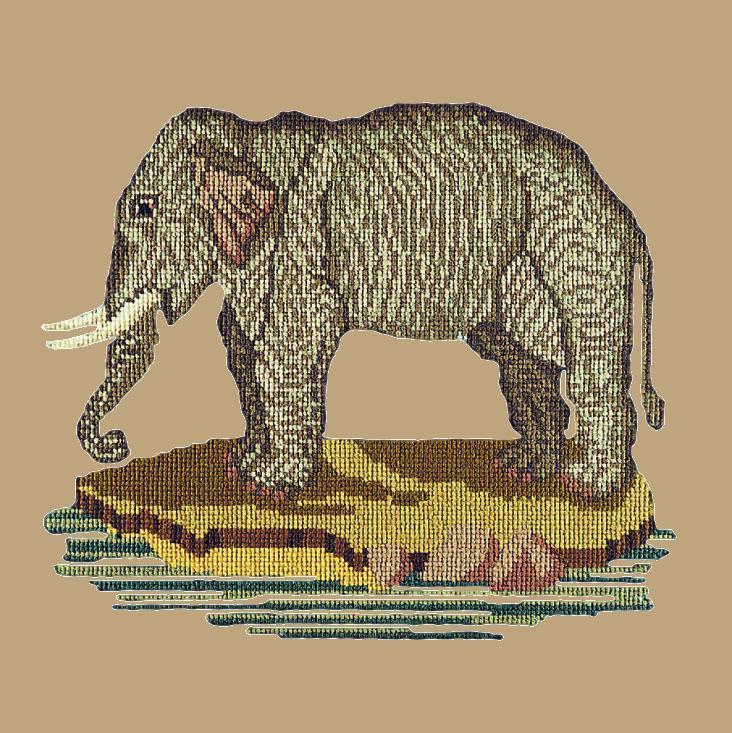 The Elephant Needlepoint Kit Elizabeth Bradley Design Sand 