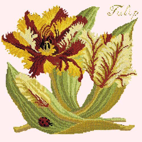 Tulip Needlepoint Kit Elizabeth Bradley Design Cream 
