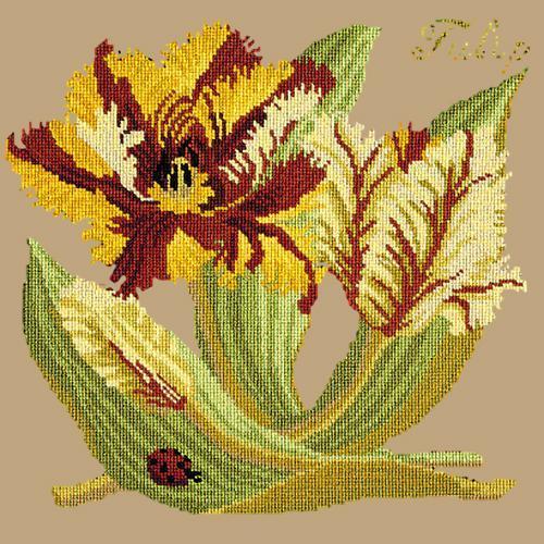 Tulip Needlepoint Kit Elizabeth Bradley Design Sand 