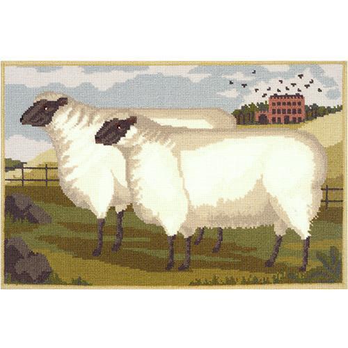 Two Fat Suffolk Lambs Needlepoint Kit Elizabeth Bradley Design 